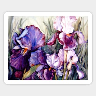 Purple Iris Art Garden Sticker